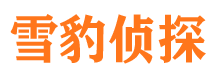 定西外遇调查取证